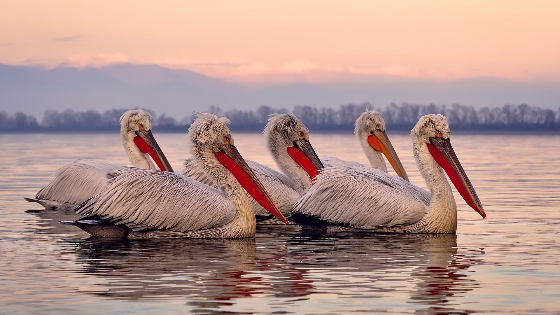kaiyun体育app-传奇车手：超越时代的速度英雄，传奇赛车手排名